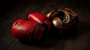 Top 10 Melhores Luvas de Boxe e Muay Thai de 2025!